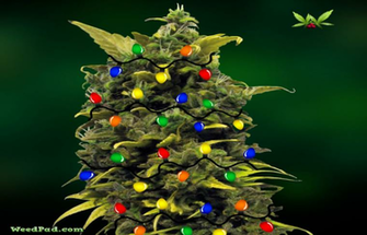 Weed Wallpaper Weedpad Christmas