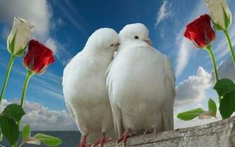 Love Wallpaper For