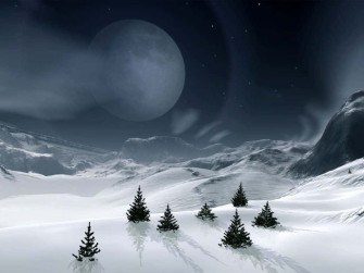 Winter Holiday Desktop With Pine Trees In A Snowy