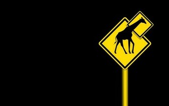 Giraffes Wallpaper Humor Desktop