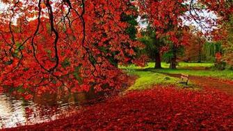 Autumn Wallpaper HD Net