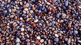 Assorted Color Pebble Lot Stones Gravel Surface HD Wallpaper