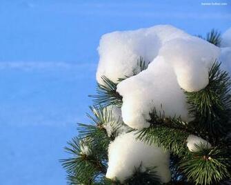 Winter Wallpaper Season Pc