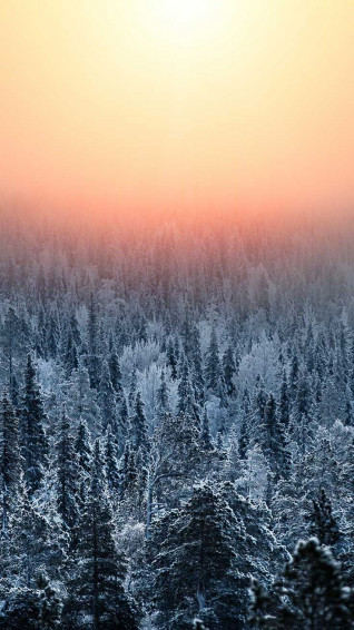 Wonderful Winter World iPhone X Wallpaper Preppy