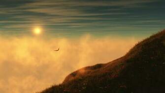 Eagle Wallpaper Desktop Background In HD Widescreen