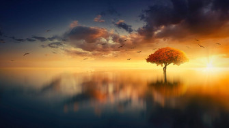 Calm Aesthetic Wallpaper