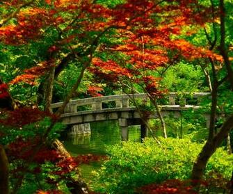 HD Wallpaper Beautiful Nature X Kb Jpeg