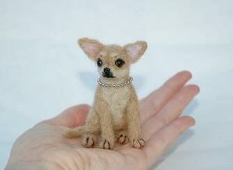 Chihuahua Wallpaper Part