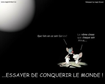 Fonds D Cran De Minus Et Cortex Sur Maxxiweb Fond Wallpaper
