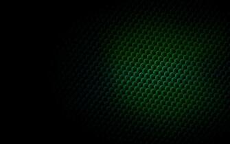 Bee Hive HD Wallpaper Background Image
