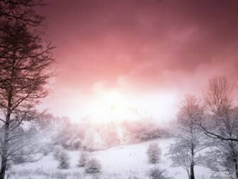 Pink Winter Wallpaper Metal Nature Heavy Pictures