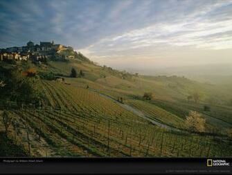 Vineyard Wallpaper High Resolution Desktop