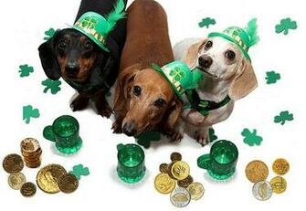 Go Back Gallery For Cute Animal St Patricks Day Wallpaper