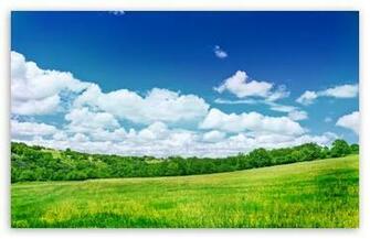 Summer Scenery Wallpaper