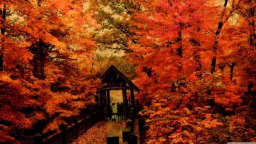 Autumn Morning Ultra HD Desktop Background Wallpaper For Multi