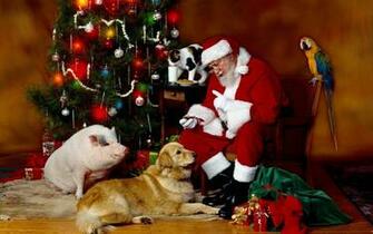 Christmas Animal Wallpaper