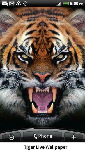 Tiger Live Wallpaper Android Apps On Google Play