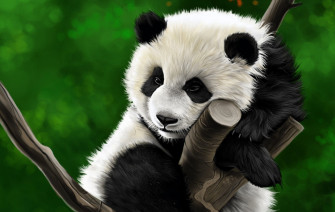 Drawing Animal Panda HD Wallpaper
