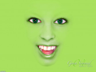 Funny Wallpaper