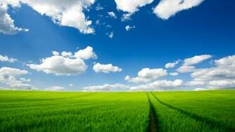Windows Wallpaper Summer Iii
