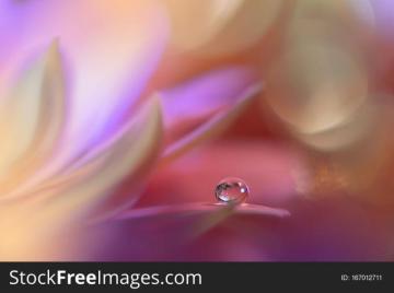 Beautiful Nature Background Abstract Wallpaper Wedding Invitation