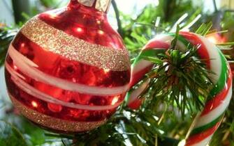 Christmas Candy Canes Wallpaper