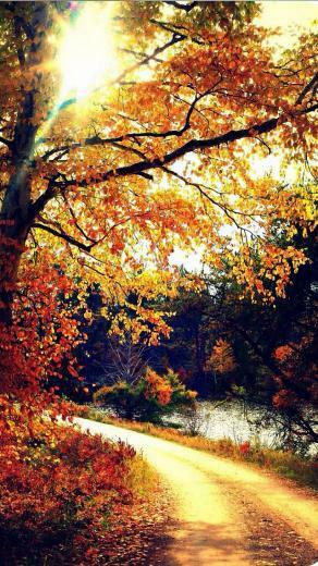 Autumn Wallpaper iPhone High Definition