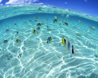 Beach Hawaii S Aquamarine Sea And Blue Sky No Wallpaper