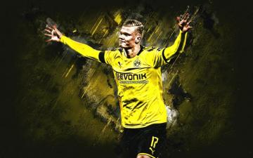 Desktop Haaland Dortmund Wallpaper Enwallpaper