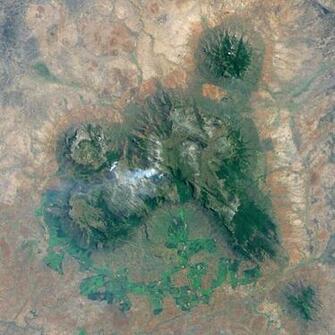 The Forests Of Mulanje