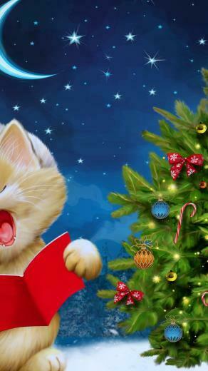 Merry Christmas Kitten 4k Ultra HD Wallpaper Net