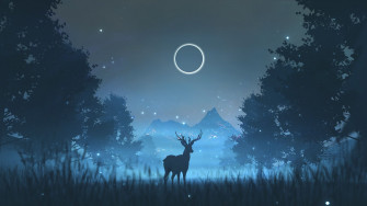 Deer And The Fireflies Digital 19201080px Wallpaper