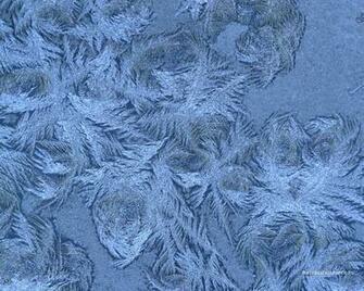Wallpaper Frost Background