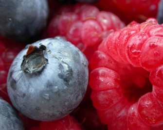 Berry HD Wallpaper And