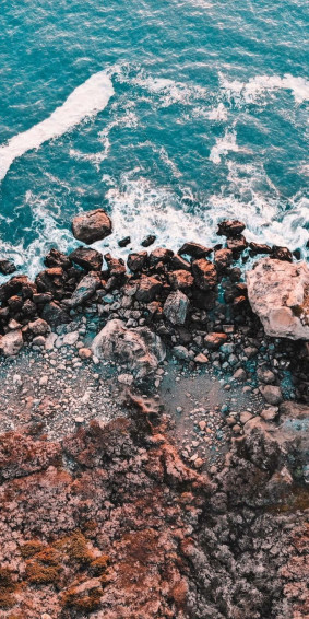 Nature Aesthetic Phone Wallpaper
