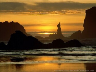 Nature Wallpaper Gallery