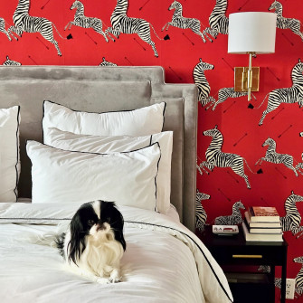 Tour Dianna Mazzone S New York City Apartment Photos