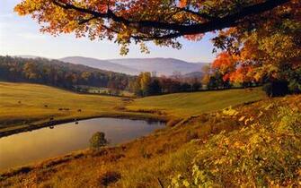Windows International Wawllpapers Background States Wallpaper
