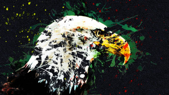 Eagle Art 0j05ek4kab022db5 Wallpaper