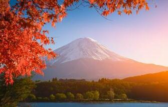 Wallpaper Autumn The Sky Leaves Colorful Japan Red