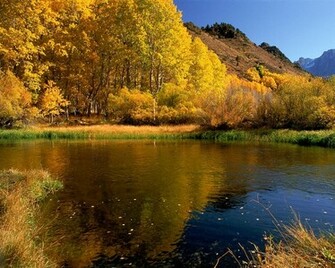 HD Autumn Wallpaper For Desktop Pixhome