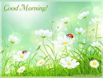Good Morning Wallpaper Of Different Sizes
