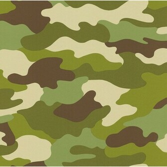 Rasch Camouflage Green At Wilko