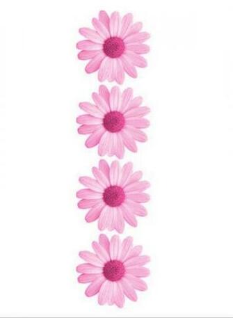 Daisy iPhone Wallpaper Image By Taraa On Favim