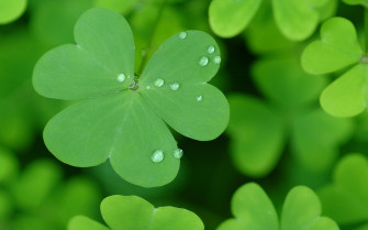 St Patricks Day Wallpaper