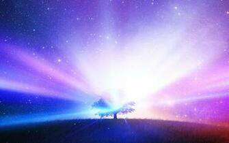 Tree Of Life Wallpaper