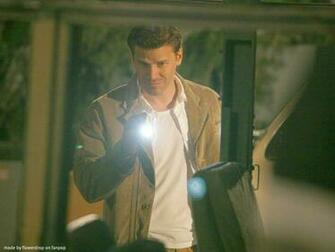 David Boreanaz Wallpaper
