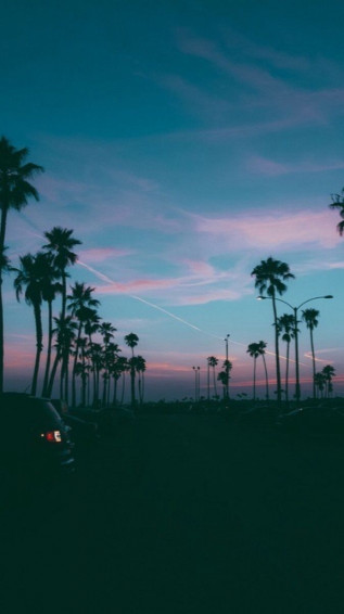 California Summer Wallpaper