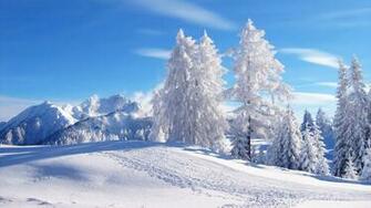Winter Scene Poster Wallpaper Art Zeromin0
