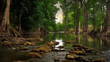 River 1600x900wallpaper Landscape Wallpaper Nature